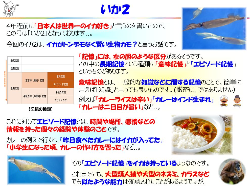 f:id:IchiroStories:20211116160507j:plain