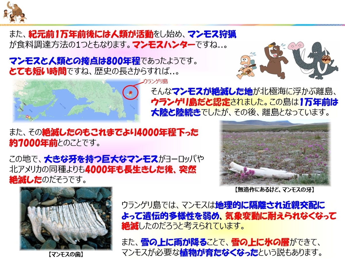 f:id:IchiroStories:20220115144317j:plain