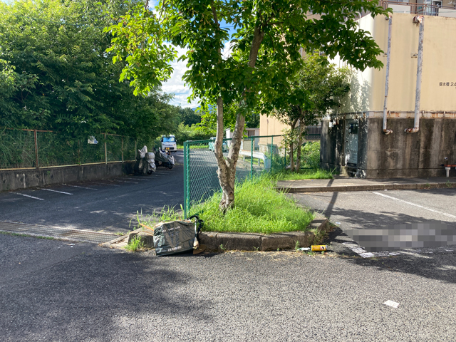 ポンプ室横の緑地の草刈り前