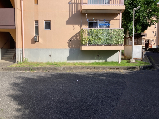 ごみ箱横の緑地の草刈り前