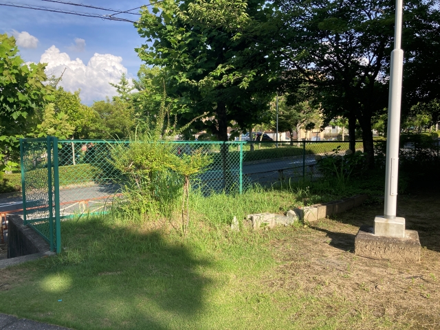 階段横の緑地の草刈り前