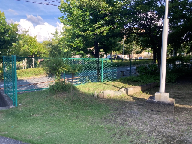階段横の緑地の草刈り後