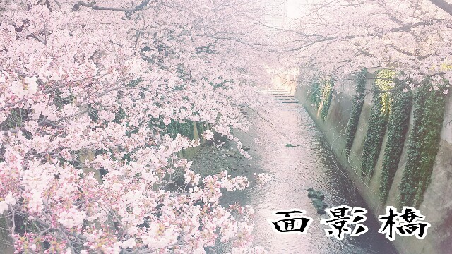f:id:Ieyasu:20190622194558j:image