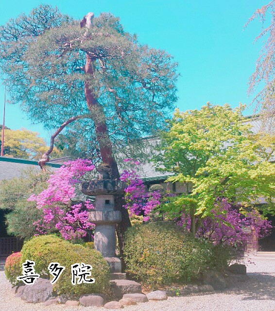 f:id:Ieyasu:20190622195650j:image