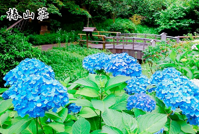 f:id:Ieyasu:20190710223722j:image