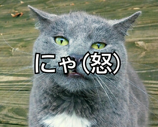 f:id:Ieyasu:20200215234244j:image f:id:Ieyasu:20200215234244j:image