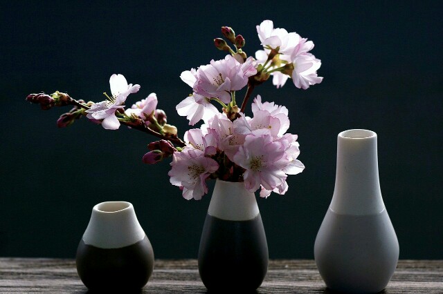 f:id:Ieyasu:20200218210913j:image f:id:Ieyasu:20200218210913j:image