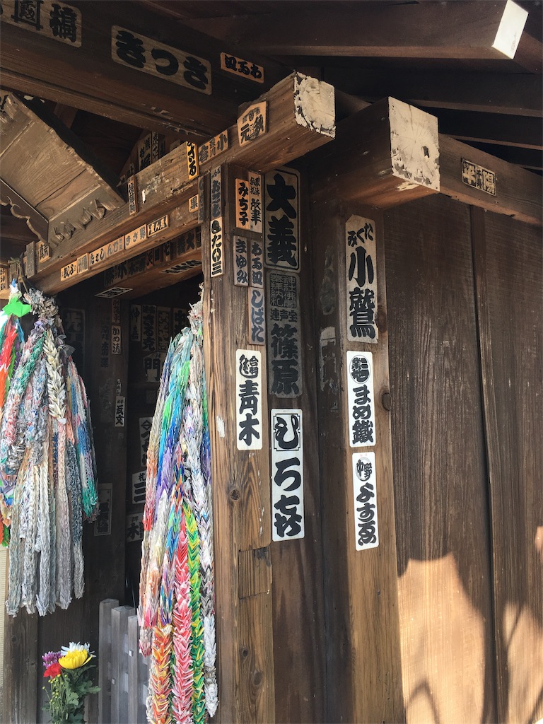 f:id:Iga-chiryu-dialy:20180315003244j:image