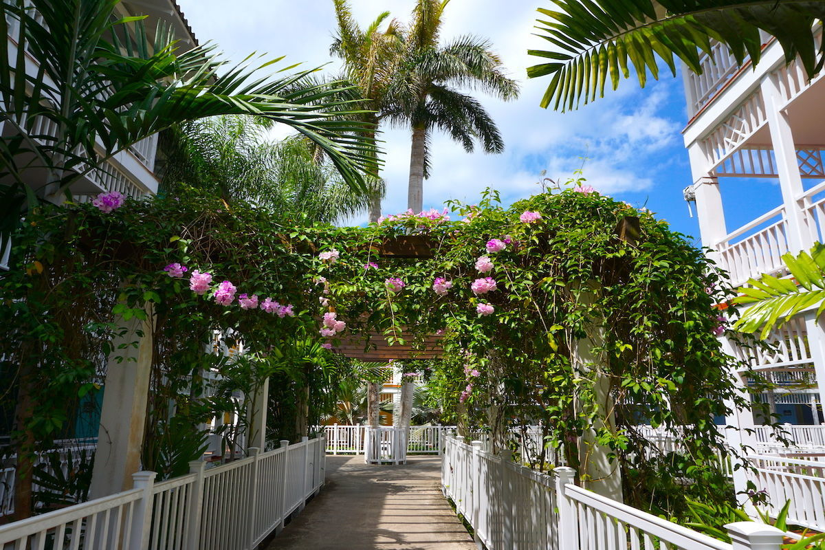 Royalton Hicacos Resort & Spa