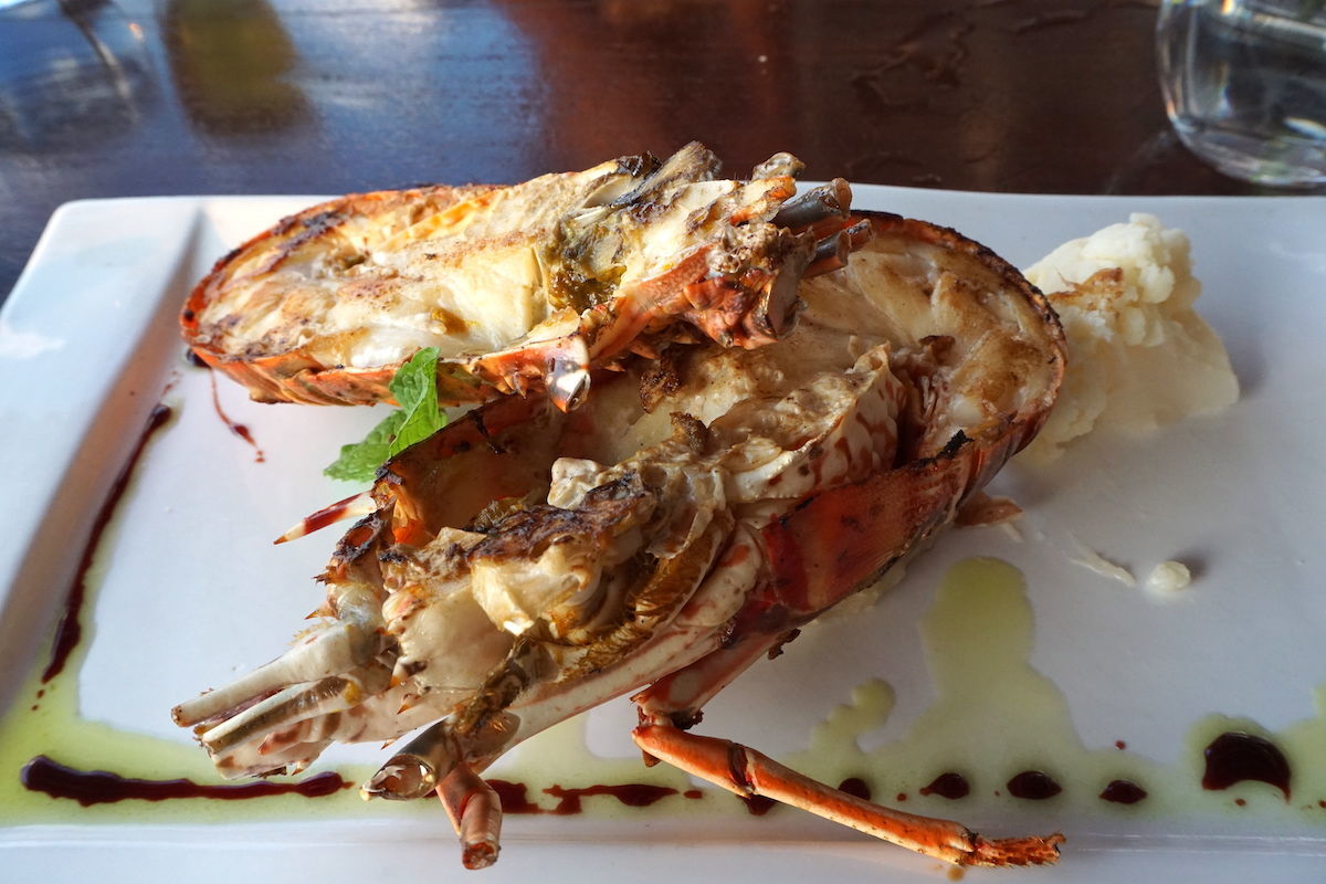 lobster