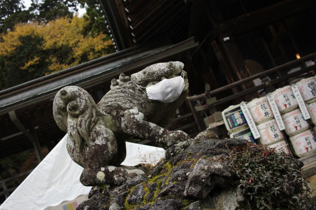 f:id:Ikeeki:20210821103411j:plain