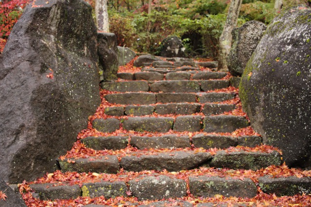 f:id:Ikeeki:20210821103451j:plain