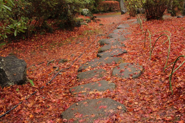 f:id:Ikeeki:20210821103625j:plain