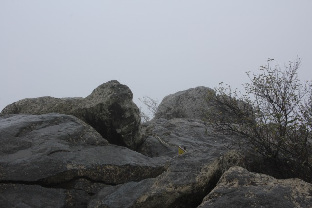 f:id:Ikeeki:20210821104236j:plain