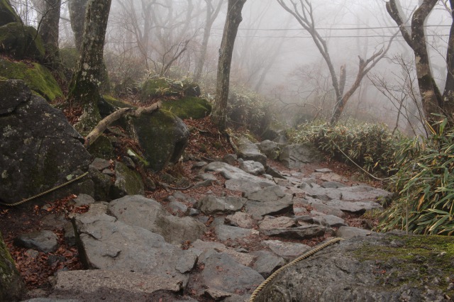 f:id:Ikeeki:20210821105250j:plain