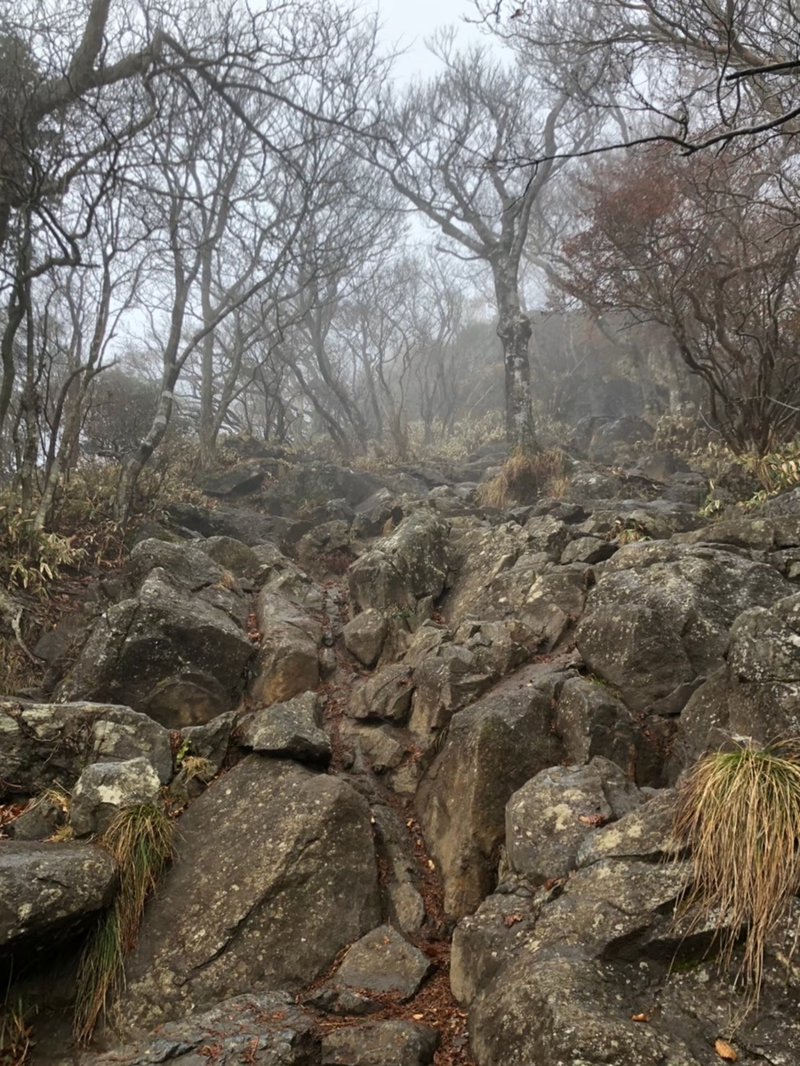 f:id:Ikeeki:20210821112144j:plain