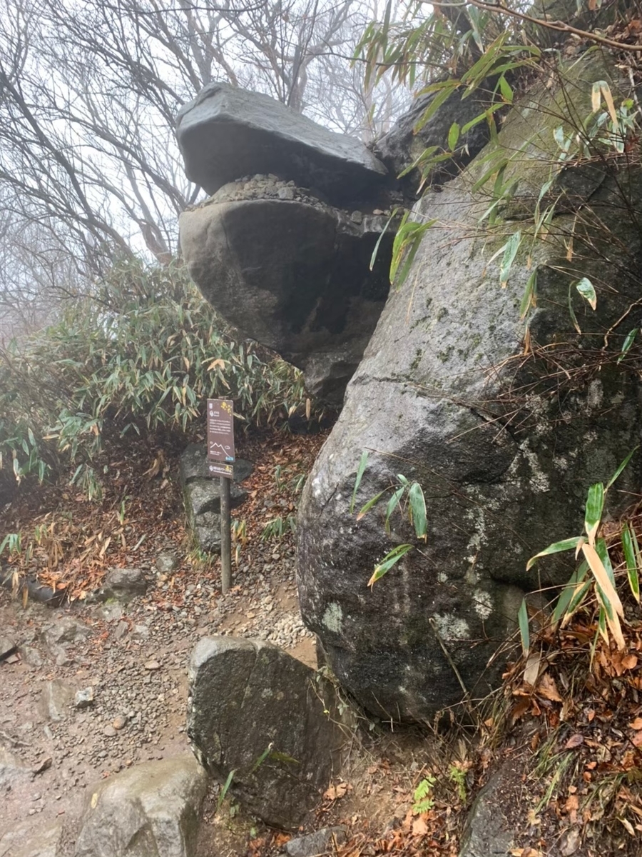 f:id:Ikeeki:20210821114048j:plain