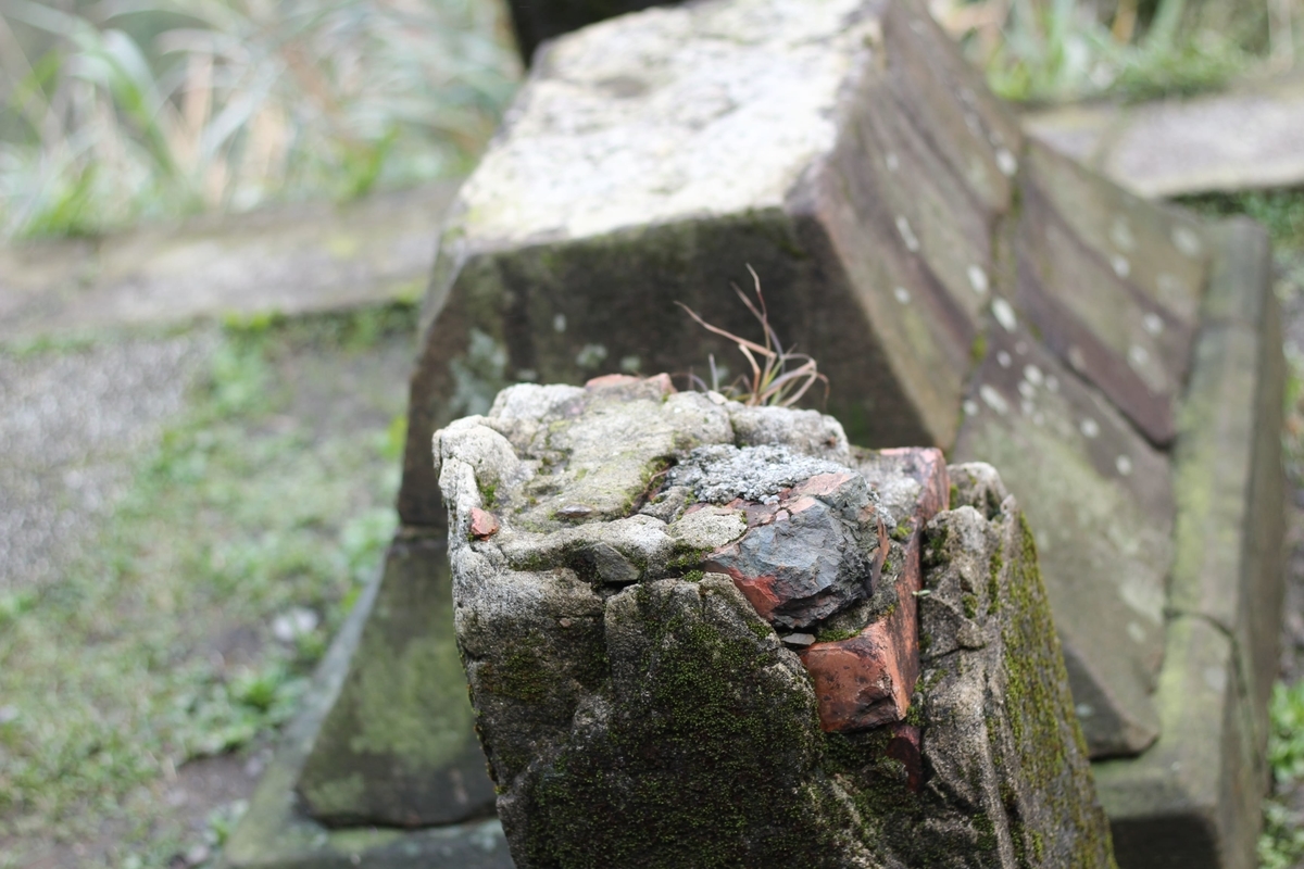 f:id:Ikeeki:20210821154511j:plain