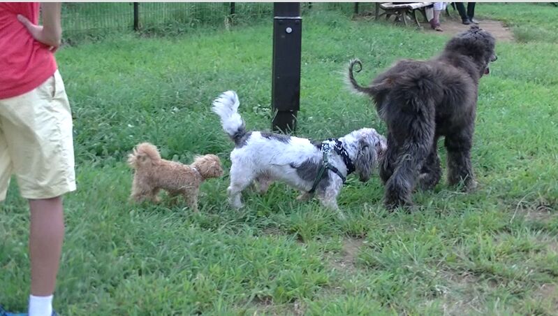 f:id:Ikegamiblog_tokyo:20160813221217j:plain