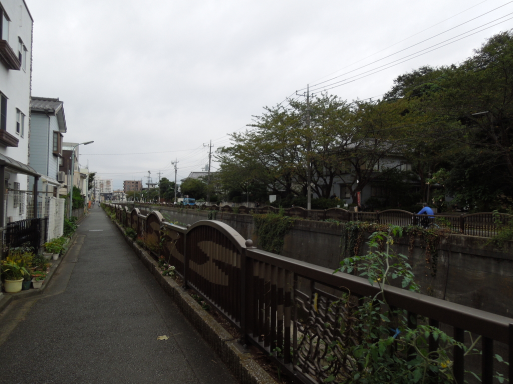 f:id:Ikegamiblog_tokyo:20161029232146j:plain