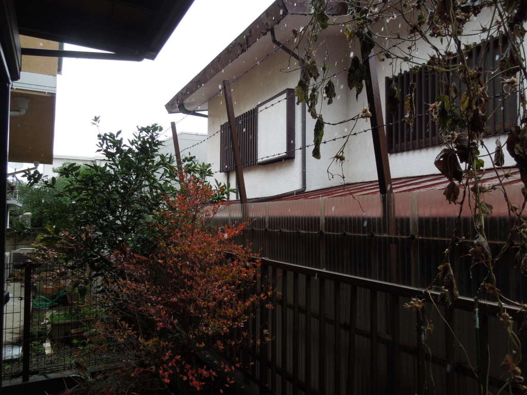 f:id:Ikegamiblog_tokyo:20161124143532j:plain
