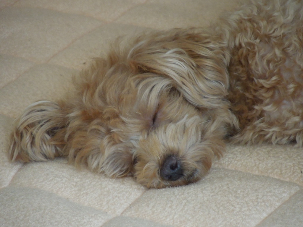 f:id:Ikegamiblog_tokyo:20170809214432j:plain