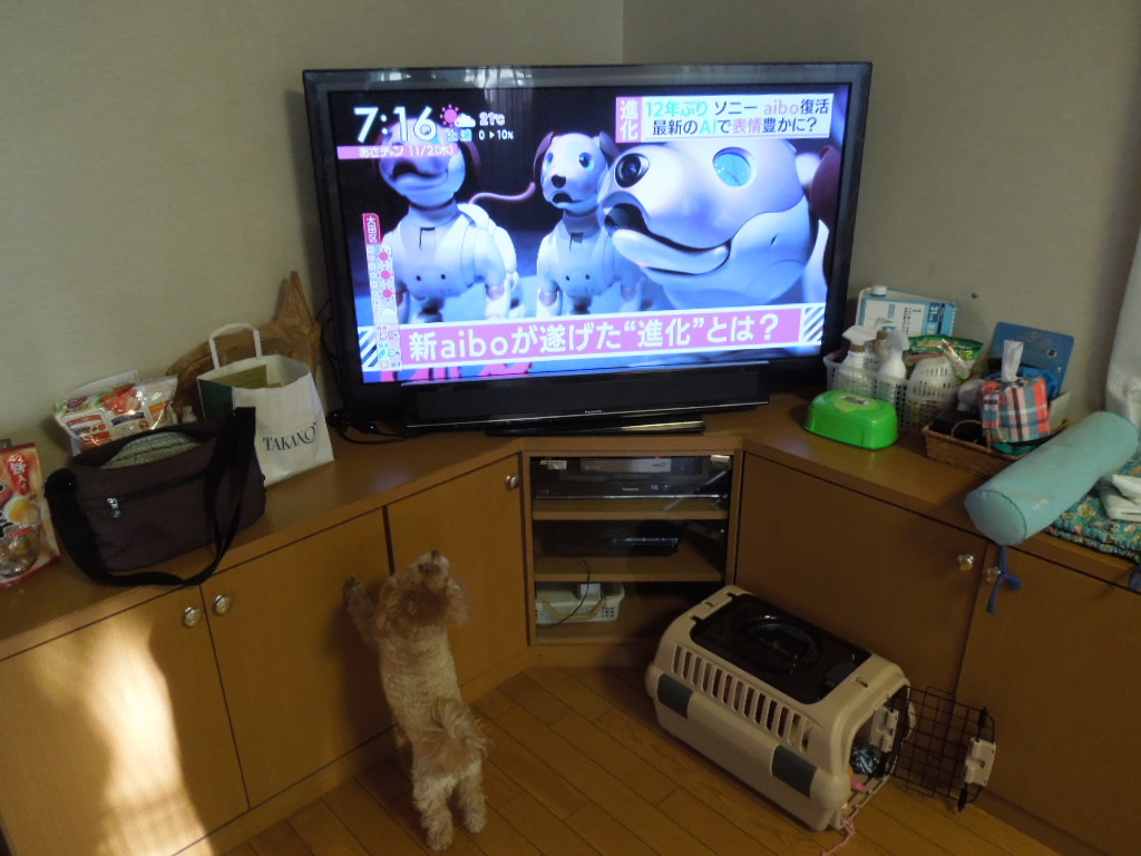 f:id:Ikegamiblog_tokyo:20171113231922j:plain f:id:Ikegamiblog_tokyo:20171113231922j:plain