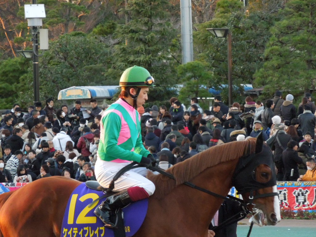 f:id:Ikegamiblog_tokyo:20171229225128j:plain