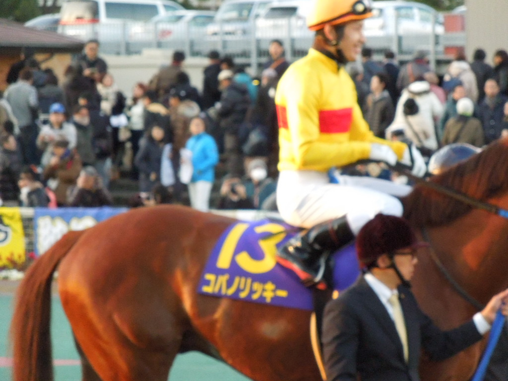 f:id:Ikegamiblog_tokyo:20171229225157j:plain