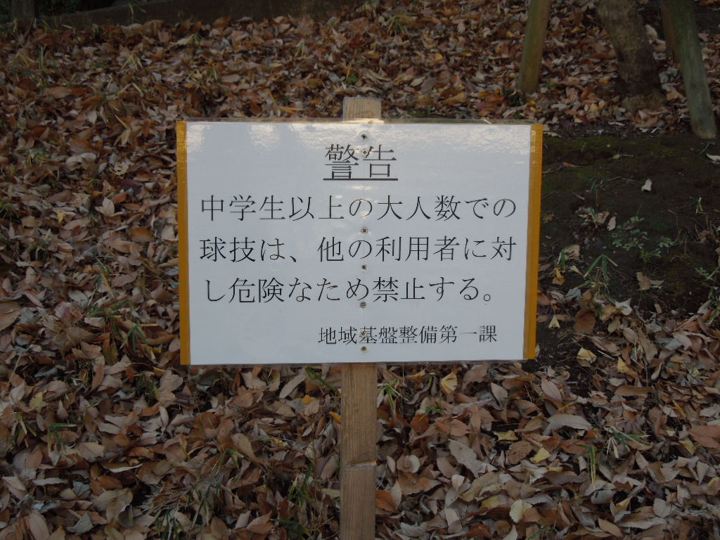 f:id:Ikegamiblog_tokyo:20180107234302j:plain