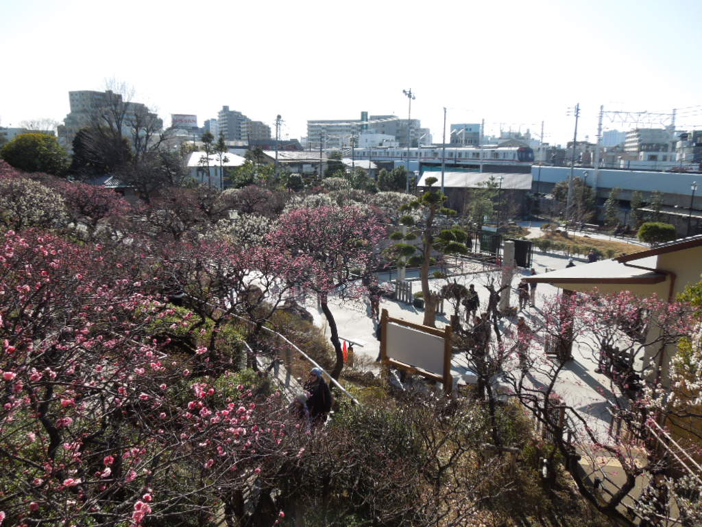 f:id:Ikegamiblog_tokyo:20180218201720j:plain