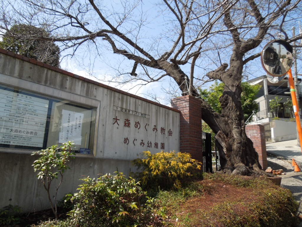 愛は高ぶらない めぐみ教会の聖句 Dogwoodの池上日記