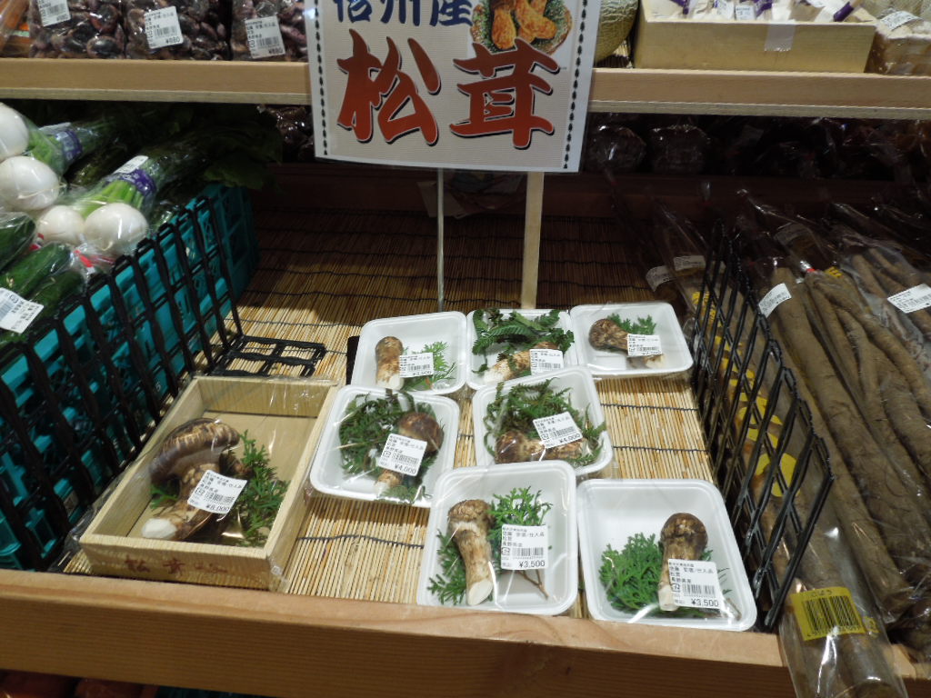 f:id:Ikegamiblog_tokyo:20181031223510j:plain