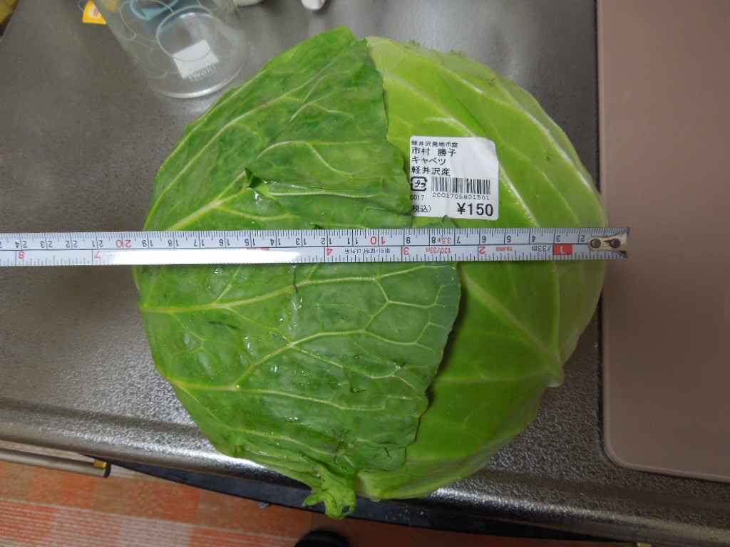 f:id:Ikegamiblog_tokyo:20181101144532j:plain