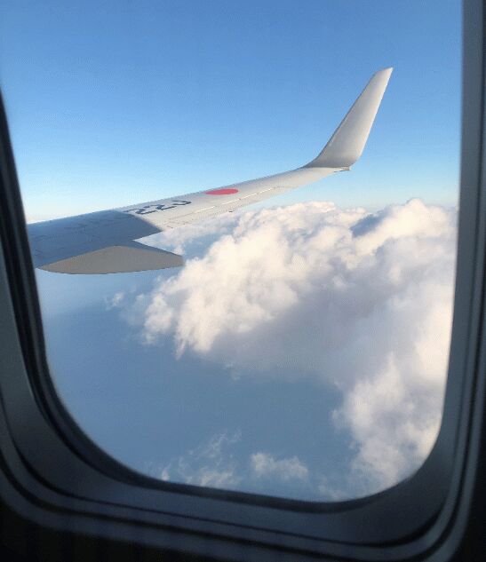 f:id:Ikegamiblog_tokyo:20181221222710j:plain f:id:Ikegamiblog_tokyo:20181221222710j:plain