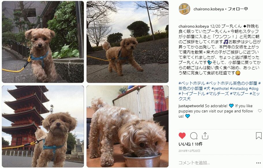f:id:Ikegamiblog_tokyo:20190102114754j:plain