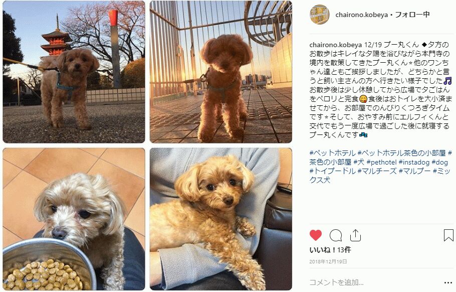 f:id:Ikegamiblog_tokyo:20190102114944j:plain