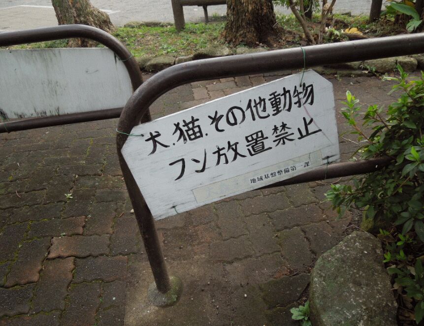 f:id:Ikegamiblog_tokyo:20190103203315j:plain