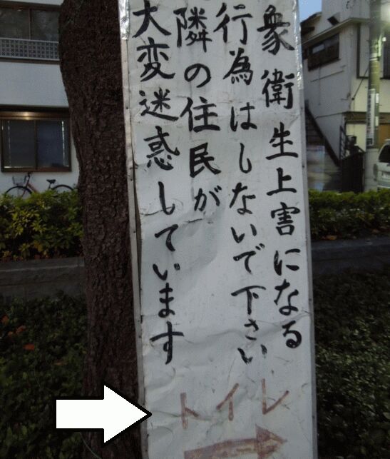 f:id:Ikegamiblog_tokyo:20190113132135j:plain