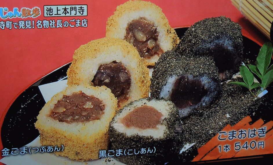 f:id:Ikegamiblog_tokyo:20190128223930j:plain