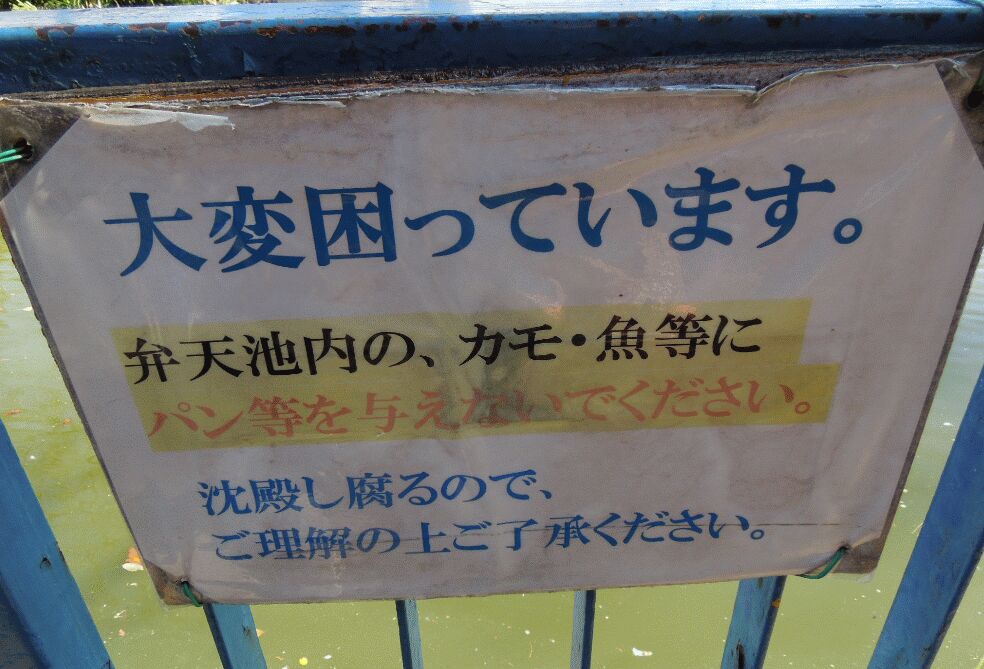 f:id:Ikegamiblog_tokyo:20190220111031j:plain
