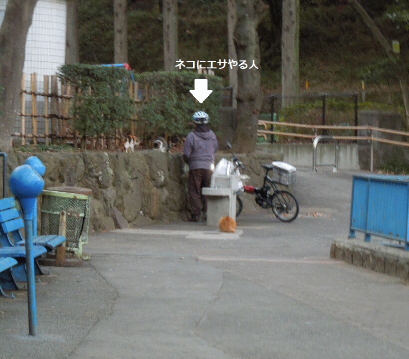 f:id:Ikegamiblog_tokyo:20190220164527j:plain