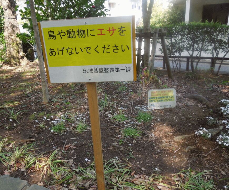 f:id:Ikegamiblog_tokyo:20190425074405j:plain