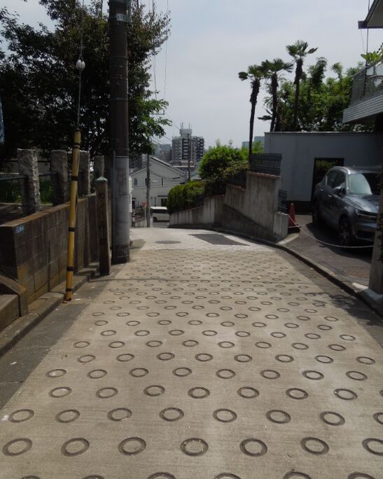 f:id:Ikegamiblog_tokyo:20190512213217j:plain