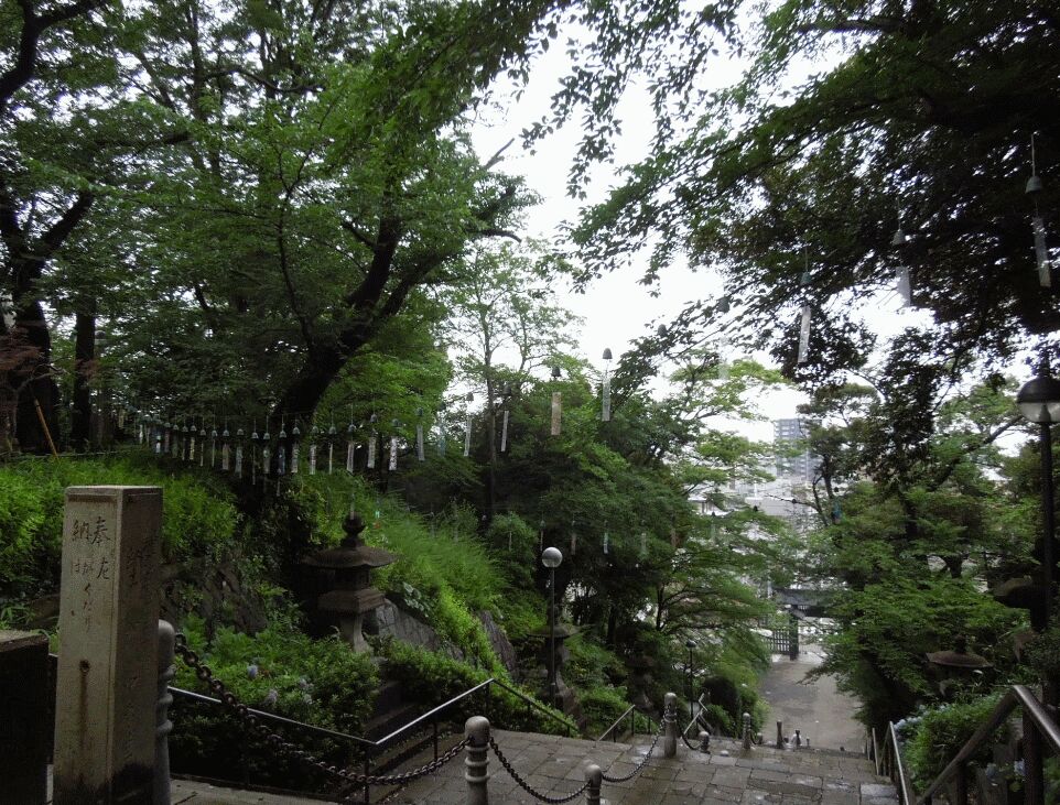 f:id:Ikegamiblog_tokyo:20190701214914j:plain