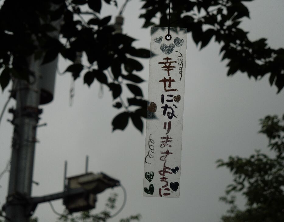 f:id:Ikegamiblog_tokyo:20190701215017j:plain