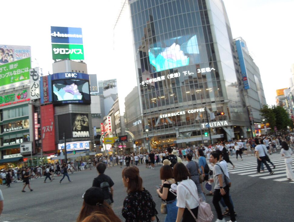 f:id:Ikegamiblog_tokyo:20190813100706j:plain