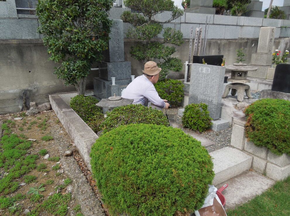 f:id:Ikegamiblog_tokyo:20190930213906j:plain