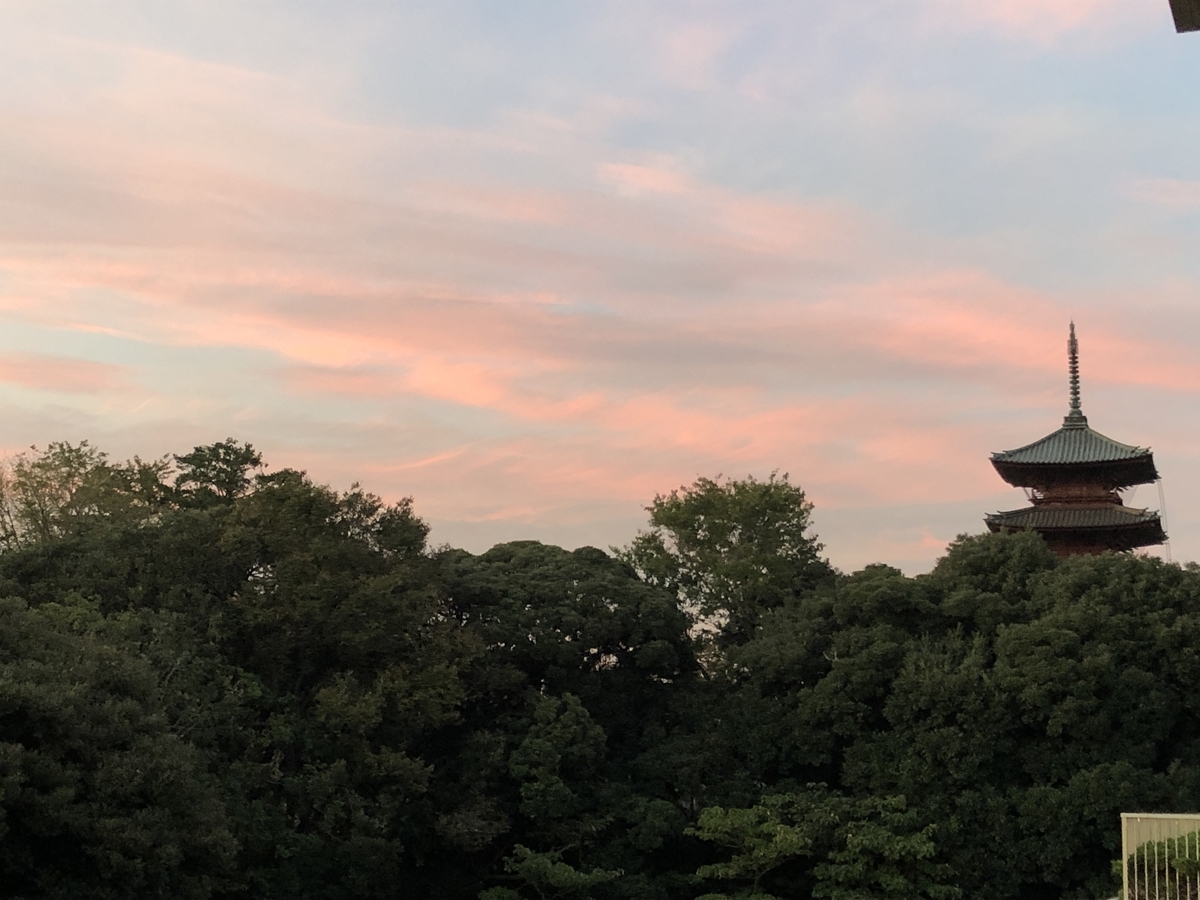 f:id:Ikegamiblog_tokyo:20191101190751j:plain