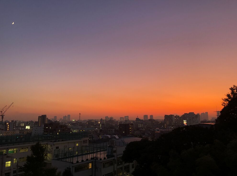 f:id:Ikegamiblog_tokyo:20191101191922j:plain